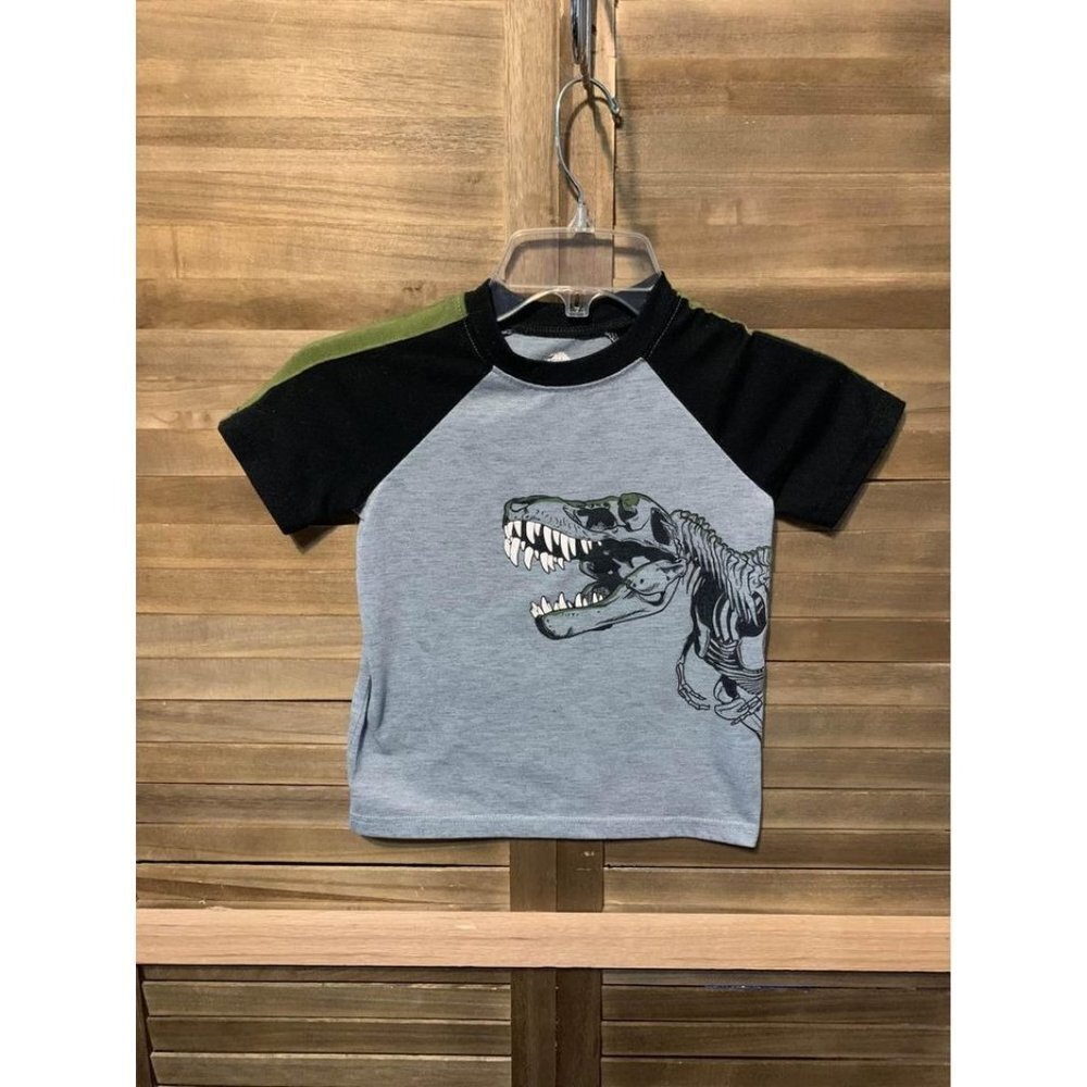 Wonder Nation T Rex Dinosaur Graphic T Shirt Boys Size XS (4/5)